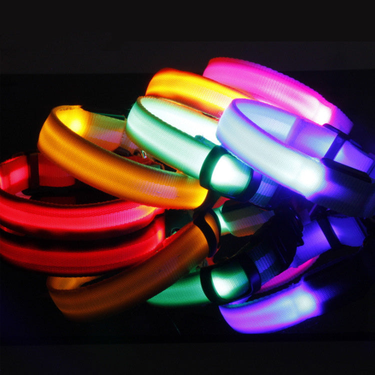LED-Halsband