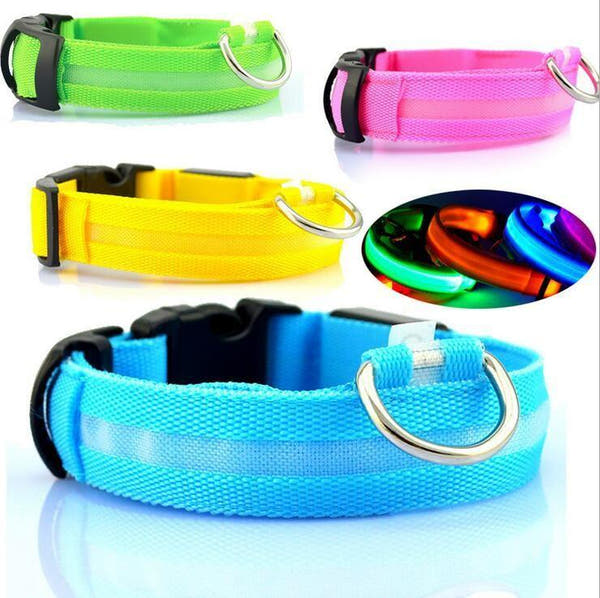 LED-Halsband
