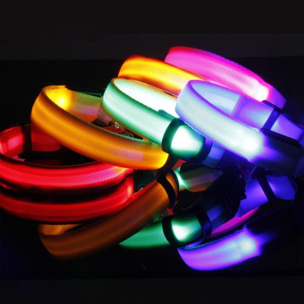 LED-Halsband