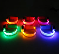 LED-Halsband